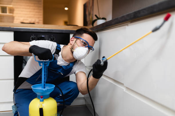 Professional Pest Control in Arkoma, OK