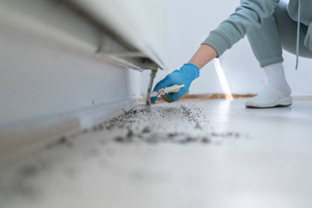 Pest Control for Restaurants in Arkoma, OK