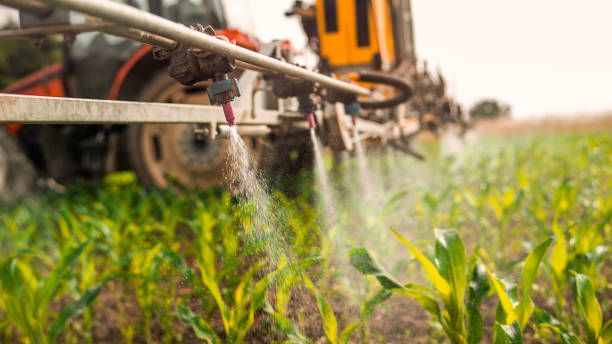 Best Commercial Pest Control Services  in Arkoma, OK